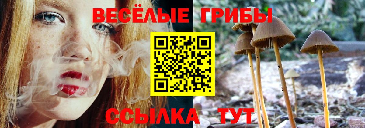 Псилоцибиновые грибы Magic Shrooms  Псилоцибиновые грибы MAGIC MUSHROOMS  Вход с VPN  сколько стоит  Лесосибирск 