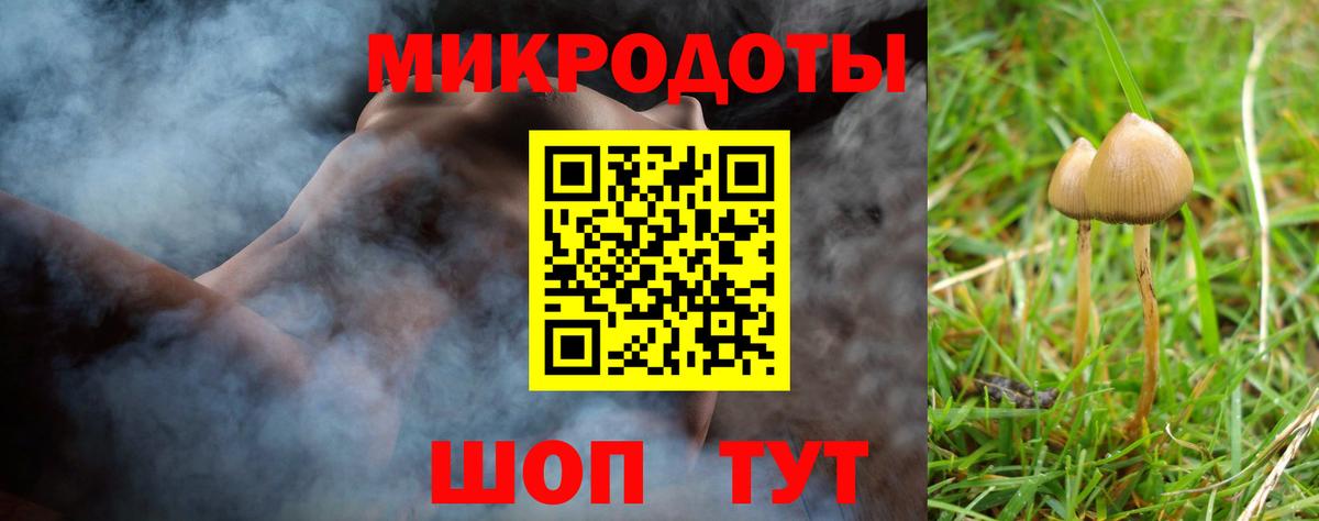 Псилоцибиновые грибы прущие грибы Лесосибирск